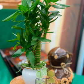item